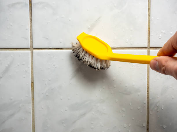 Best Fast Mold Removal  in Granger, TX