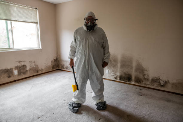 Best Toxic Mold Removal  in Granger, TX